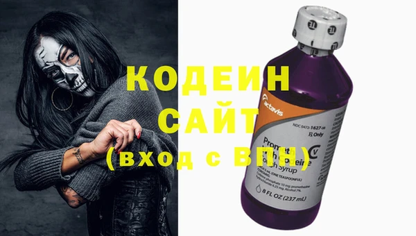 прущие грибы Михайлов