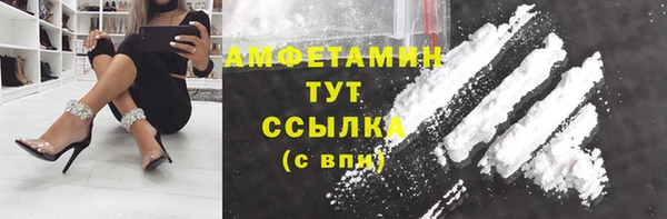 прущие грибы Михайлов