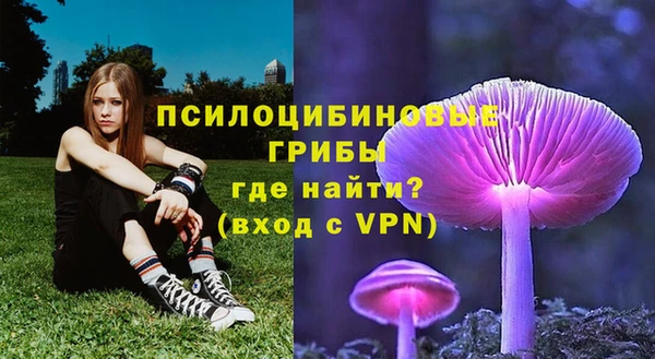 гидропоника Михайловск
