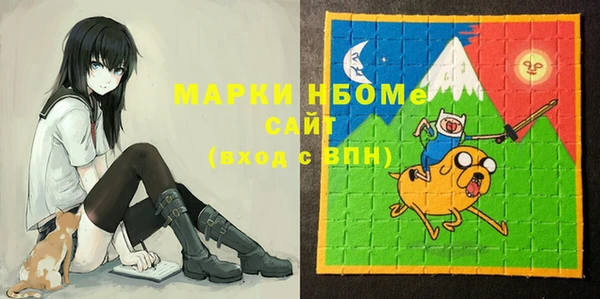 прущие грибы Михайлов