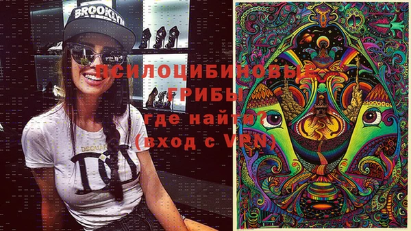 прущие грибы Михайлов