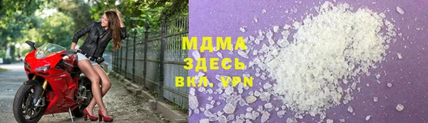прущие грибы Михайлов