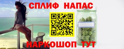 дживик Гай