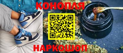 дживик Гай