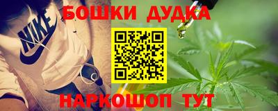 дживик Гай