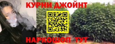 спиды Гагарин