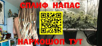 наркотики Гатчина